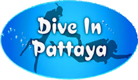 Dive In Pattaya